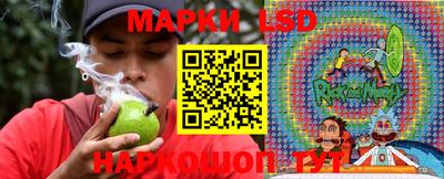 гашик Гай