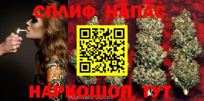 винт Гатчина