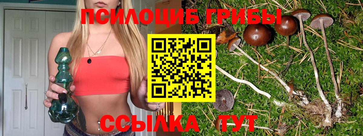Малгобек  Галлюциногенные грибы Psilocybine cubensis  Псилоцибиновые грибы Psilocybine cubensis  Вход с VPN 
