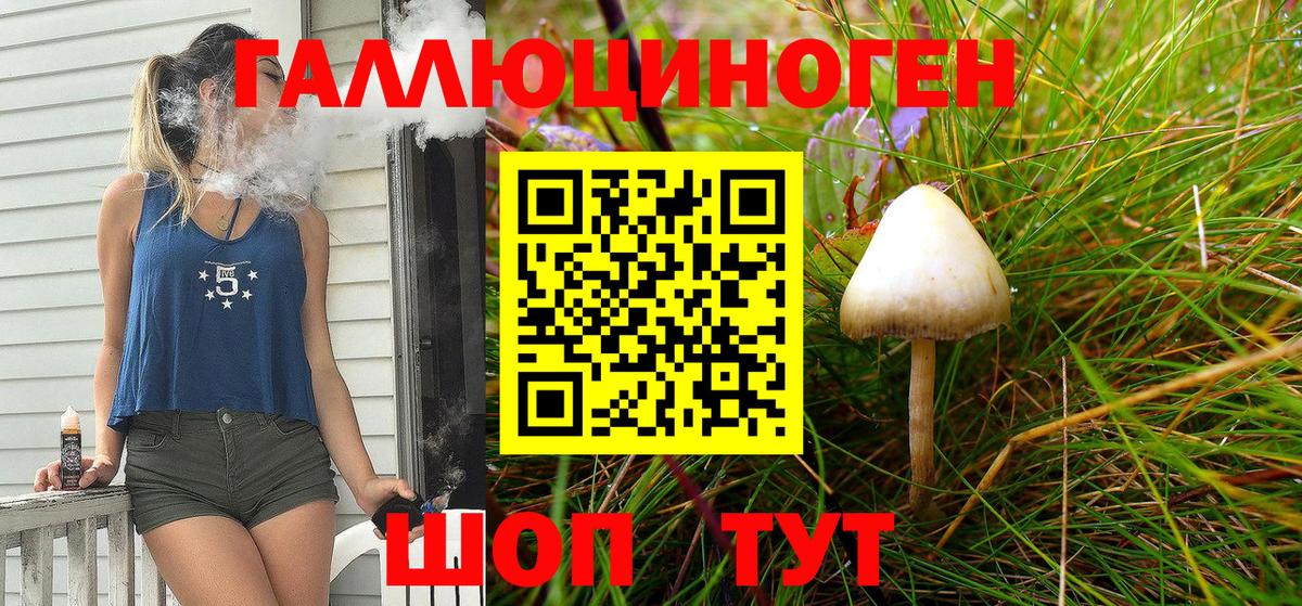 Псилоцибиновые грибы Magic Shrooms Малгобек